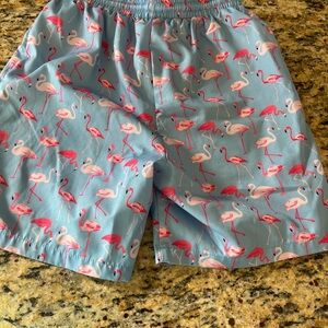SHEIN Blue Swim Trunks with Pink Flamingo Print